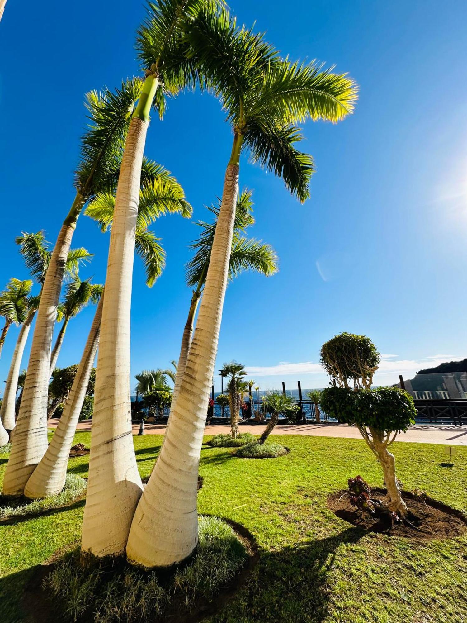 El Nautico Coral Suite - Oceanview Escape Apartamento *
