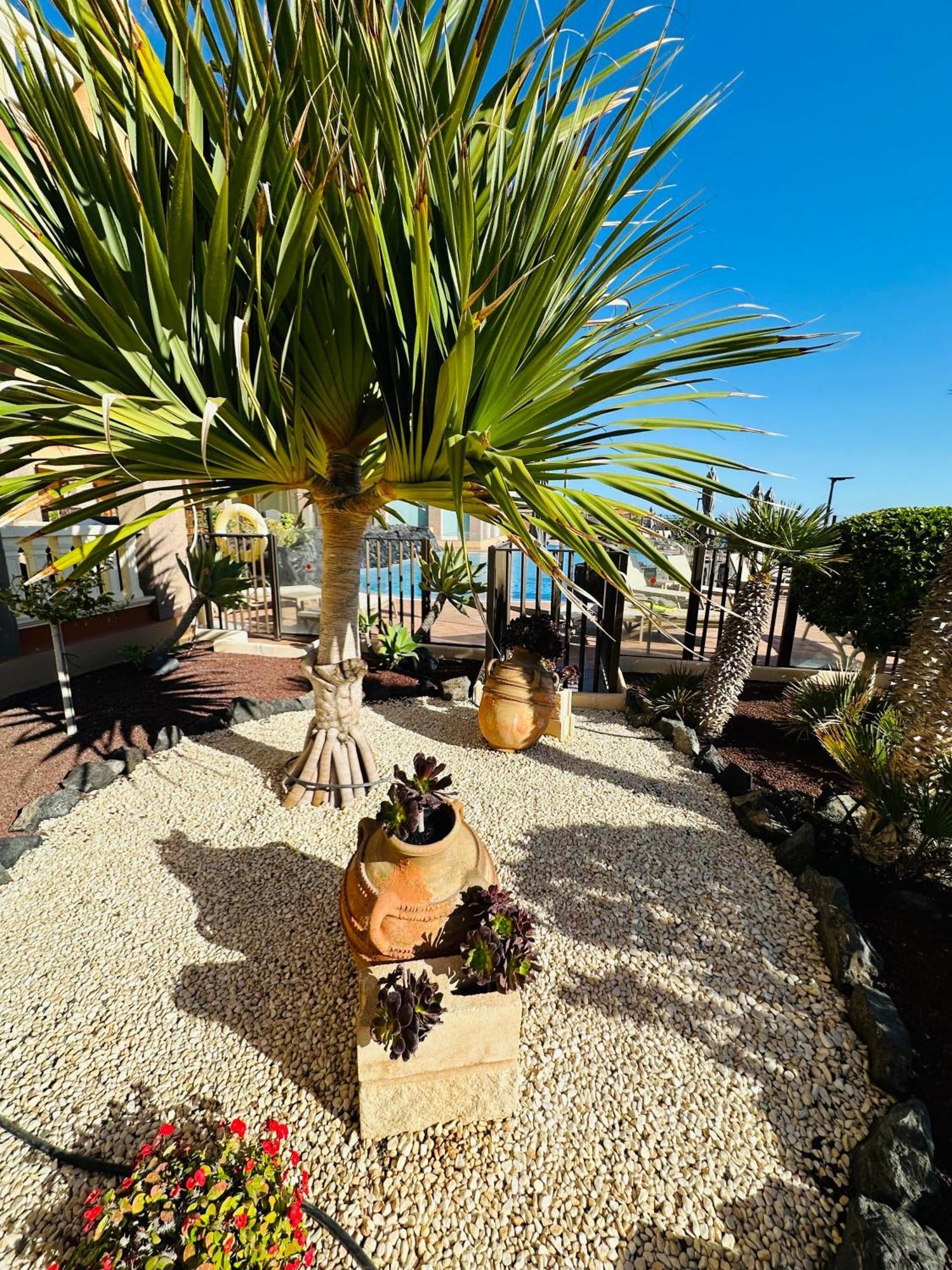 El Nautico Coral Suite - Oceanview Escape * San Miguel de Abona