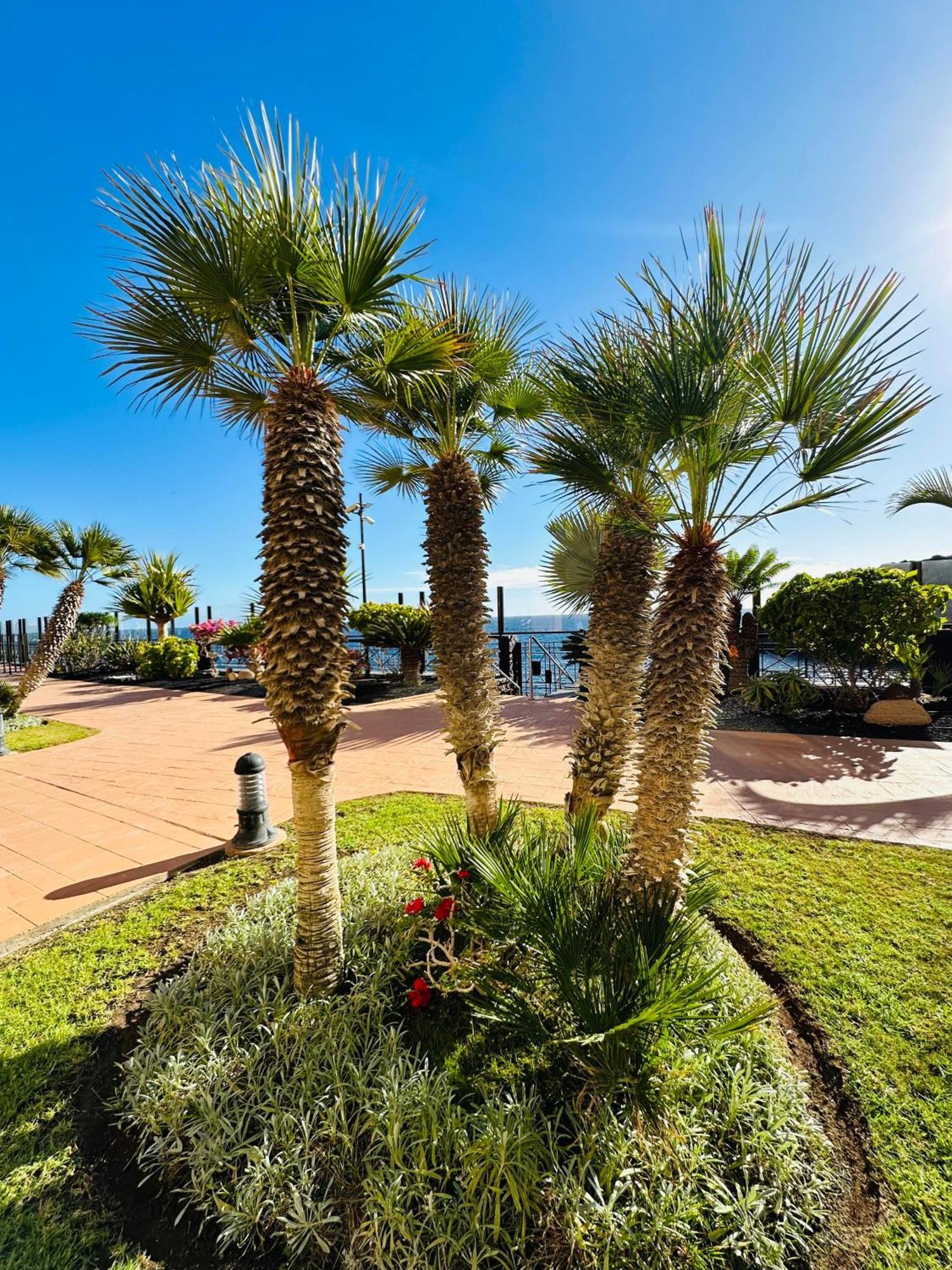 El Nautico Coral Suite - Oceanview Escape San Miguel de Abona