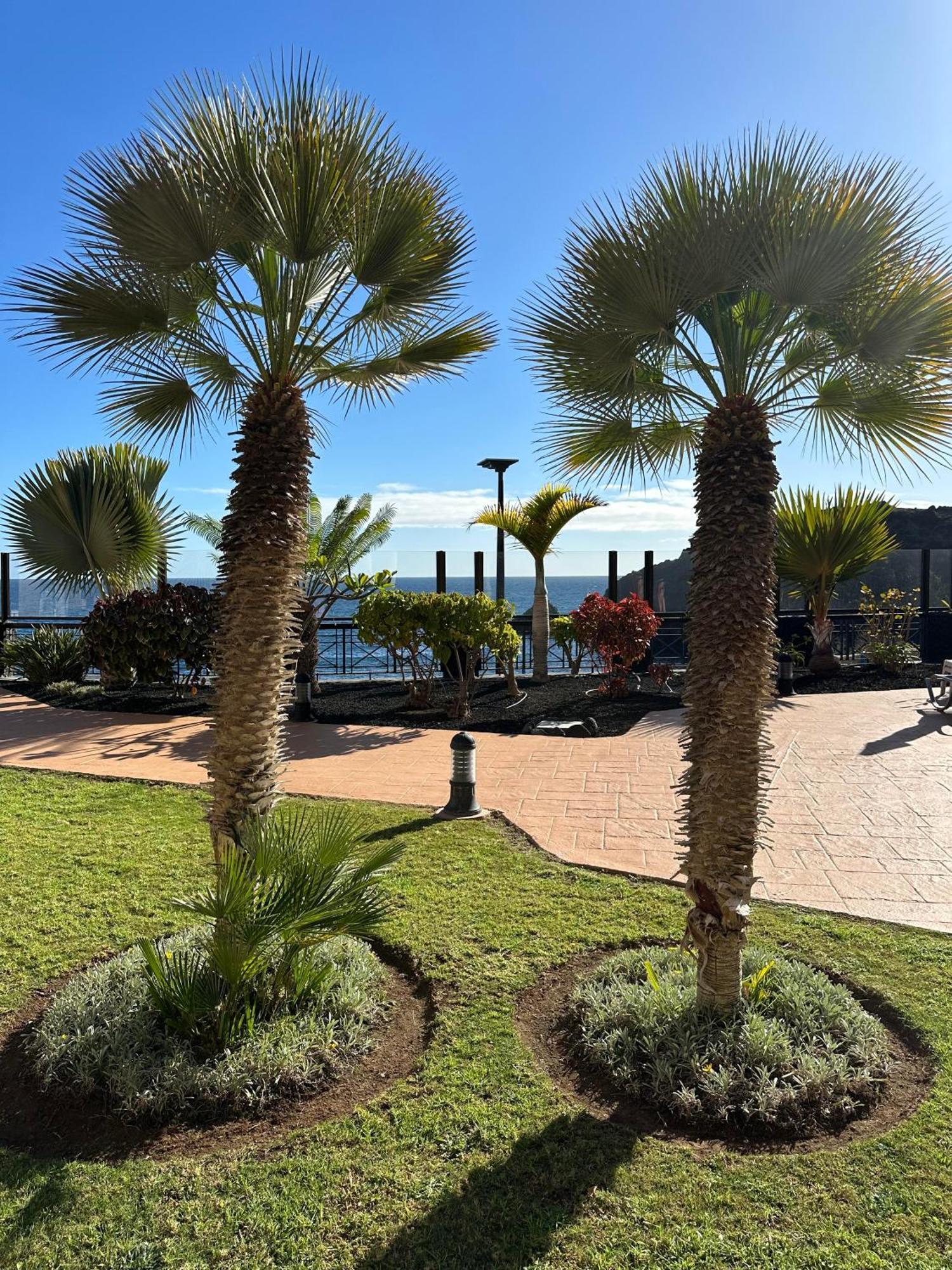 El Nautico Coral Suite - Oceanview Escape